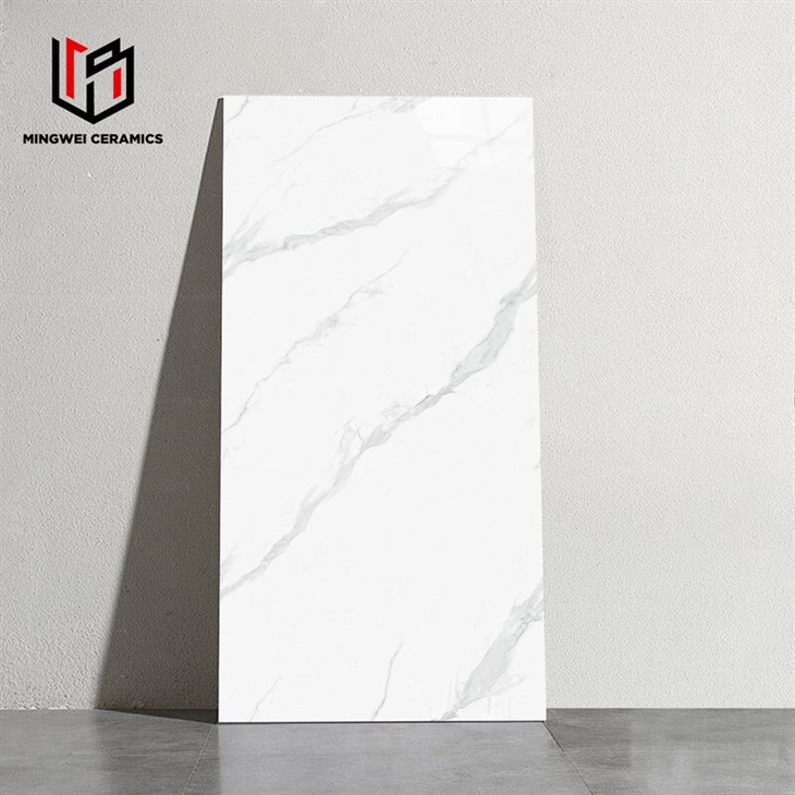 Panda White Gloss Ceramic Tile Factory