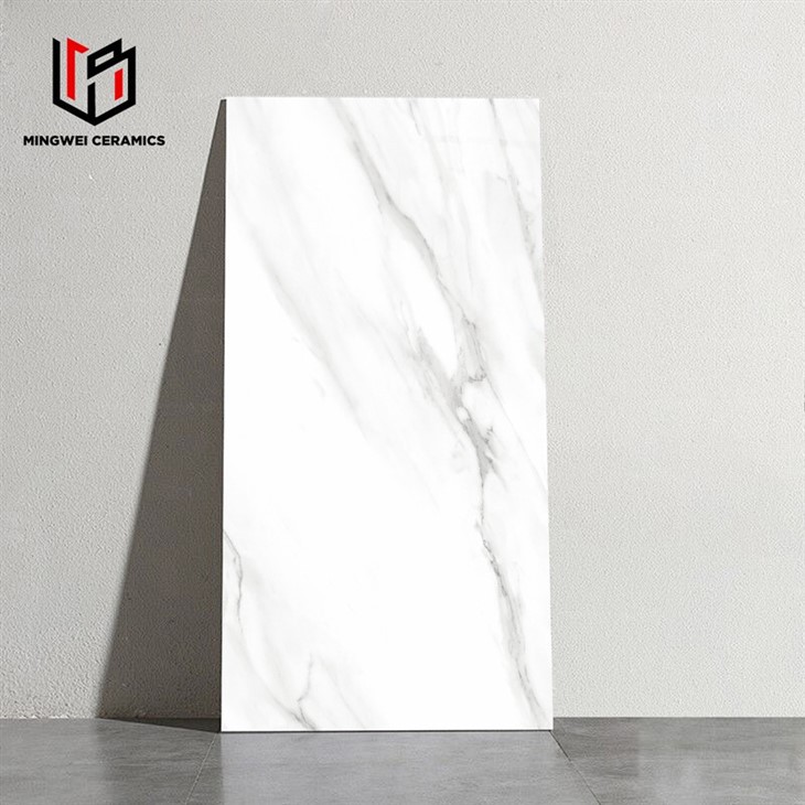 Panda White Gloss Ceramic Tile Factory